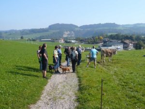 VC-Wanderung-2011-013